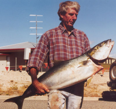 kingfish.jpg (35482 bytes)