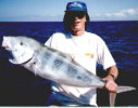 Giant Trevally