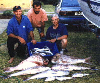 Snapper and Whiting