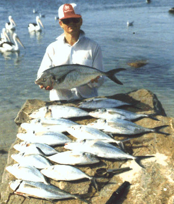 Trevally