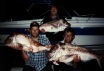 SNAPPER (25, 30, 32 lb)