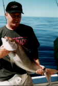 Rossie Mouth Job Fish(King Snapper)