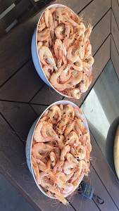 Click image for larger version. 

Name:	Cooked Prawns.jpg 
Views:	0 
Size:	57.5 KB 
ID:	115250