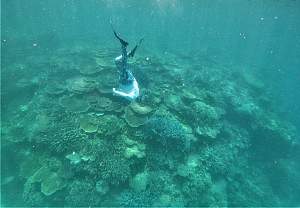 Click image for larger version. 

Name:	Freediver ann (2).jpg 
Views:	11 
Size:	64.5 KB 
ID:	122827