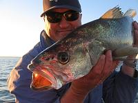 Click image for larger version. 

Name:	my first legal  brissy river jewie  83cm.jpg 
Views:	4 
Size:	54.8 KB 
ID:	69079