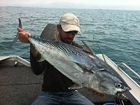 Click image for larger version. 

Name:	tuna1.jpg 
Views:	7 
Size:	52.4 KB 
ID:	71985