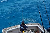 Click image for larger version. 

Name:	Margie Charteris Fighting a fish on 34ft blackwatch.jpg 
Views:	4 
Size:	70.2 KB 
ID:	73705