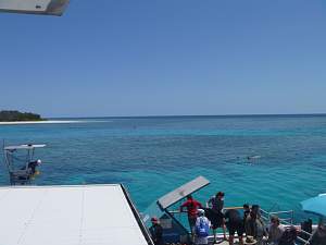 Click image for larger version. 

Name:	snorkelling at LMI.jpg 
Views:	0 
Size:	51.1 KB 
ID:	84947