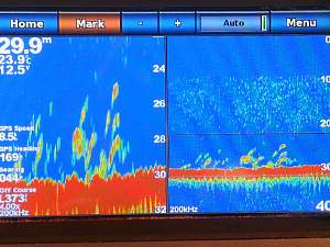 Click image for larger version. 

Name:	Fish shows on the Garmin.jpg 
Views:	4 
Size:	37.7 KB 
ID:	92040