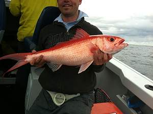 Click image for larger version. 

Name:	Flame Snapper.jpg 
Views:	0 
Size:	39.6 KB 
ID:	94888